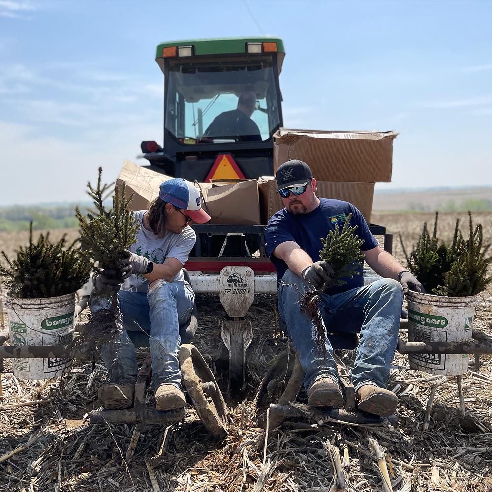 Picture of two people sitting on the back of a tractor holding tree saplings to plant.