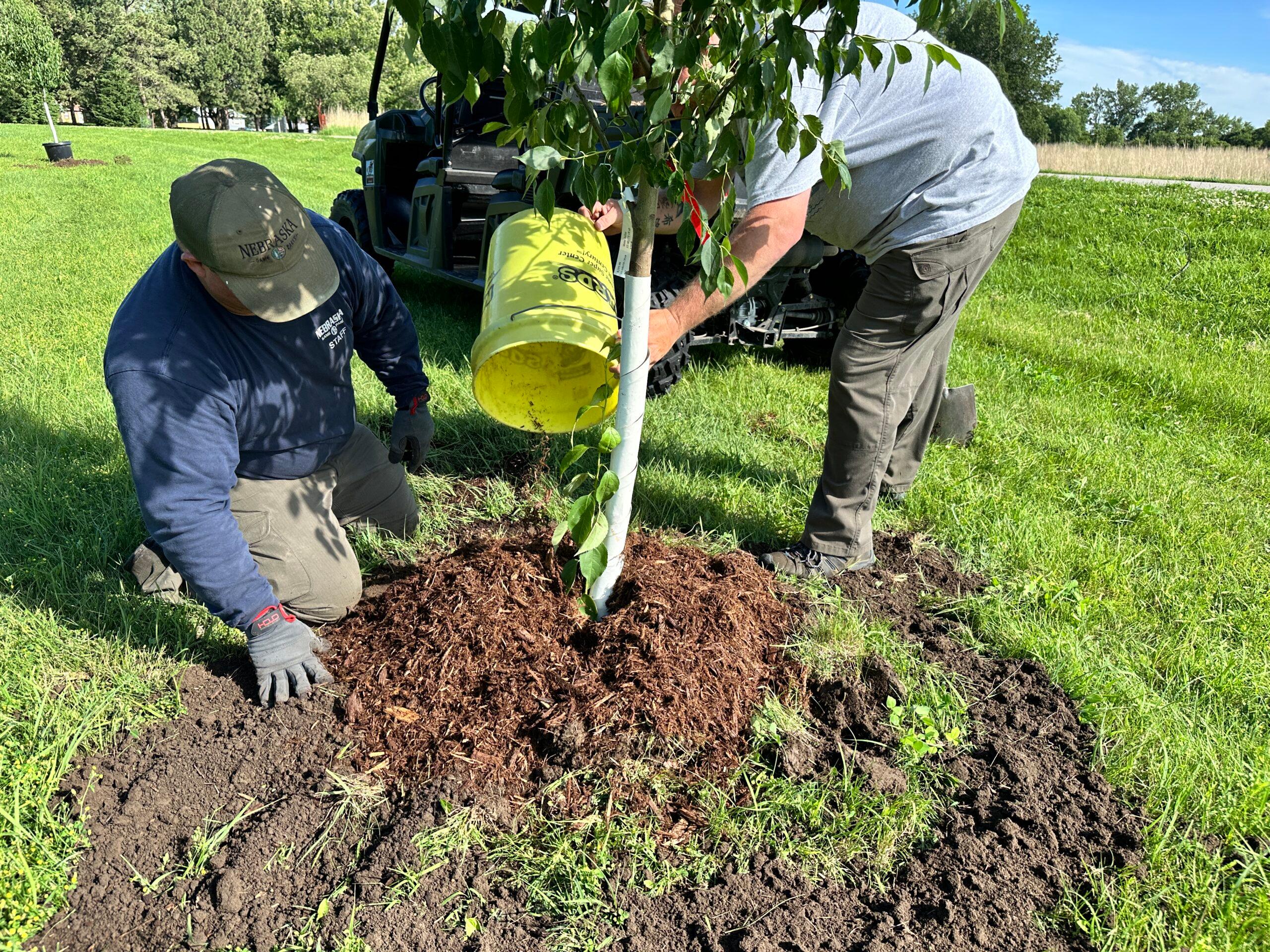 Fort Atkinson State Historical Park employees plant a tree.